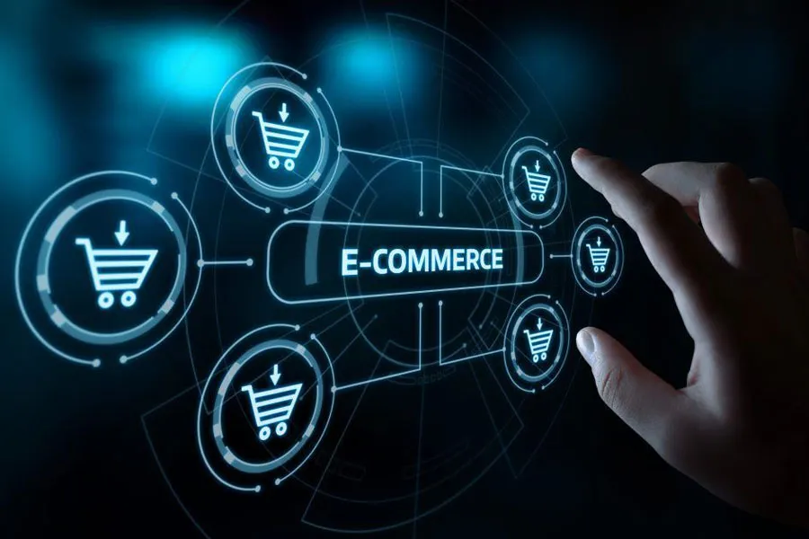 E-commerce Website Development